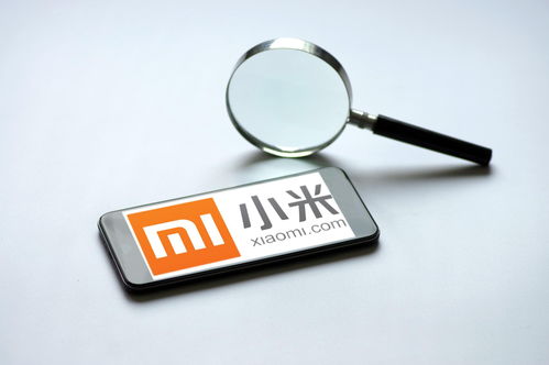 小米強化隱私保護與信息安全 第一優先級的戰略抉擇